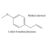 Methyl Chavicol