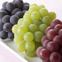 fresh grapes