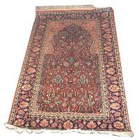 Silk Carpet (dsc 00389)