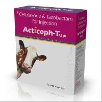 Acticeph-T Injection (4.5 gm)