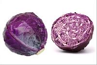 red cabbage