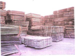 copper cathodes