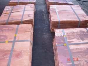 Electrolytic Copper Cathodes