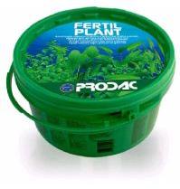 Fertil Plant