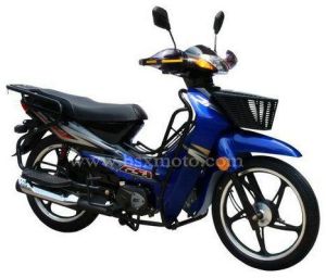 Motorcycle Cub Bs110-t
