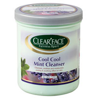 Mint Skin Cleanser