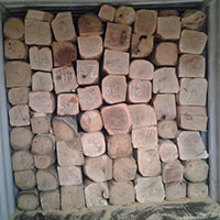Gmelina Wood Logs