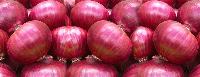 organic red onions
