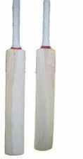 cricket bat