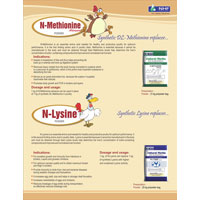 N Methionine, N Lysine