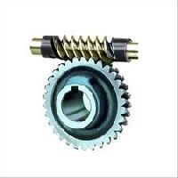 Worm Wheel and Shaft (gear Box Spares