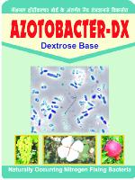 Azatobactor Dx