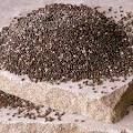 Organic Chia Seeds