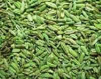 fennel seed