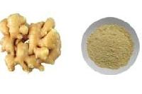 Dehydrated Ginger Flakes &  Powder