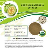Garcinia Cambogia  Extract