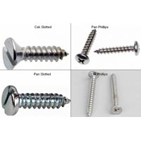 Stainless Steel Self Tapping Screws