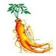 Ginseng Extract