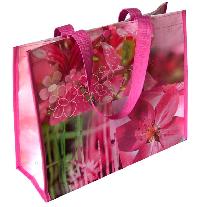 Pp Laminated Bags