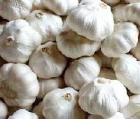 Jamnagar Garlic