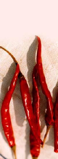 red chilli