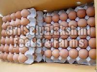 Fresh Poultry Eggs