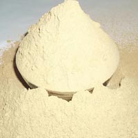 Myrobalan Extract Powder