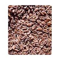 Psyllium Seed