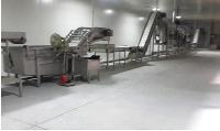 vegetable processing machinery