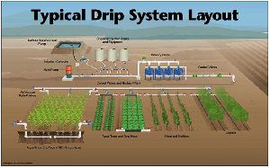 Drip Irrigation System Layout