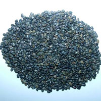 Sunhemp Seed