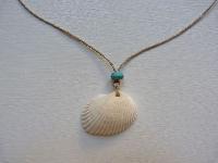 sea shell jewelry