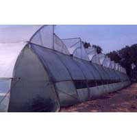 Greenhouse Covering Film