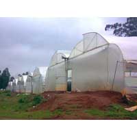 Greenhouse Film