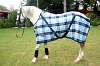 Turnout Horse Rug 02