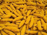 turmeric