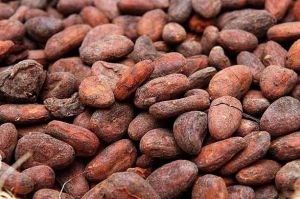 cocoa beans