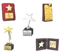 Gold Star Trophy 02