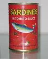Canned Sardines Tomato Sauce