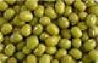 Green Mung Bean,  Cultivation Type : Organic