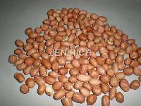 Groundnuts