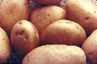 Potatoes,  Country of Origin : India