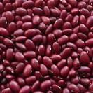 red kidney beans