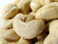 Roasted Cashew Kernels, Cashew Nut