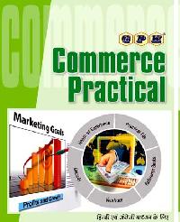 Commerce Practical Book