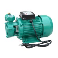 Electric Water Pump Motor