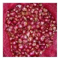 Red Onion-01