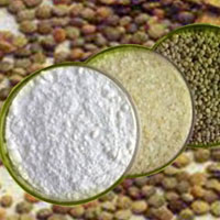 guar gum