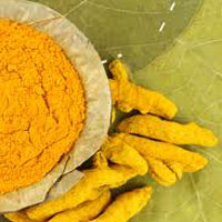 turmeric powder