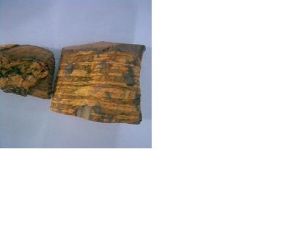 Salacia Recticulata Herbs